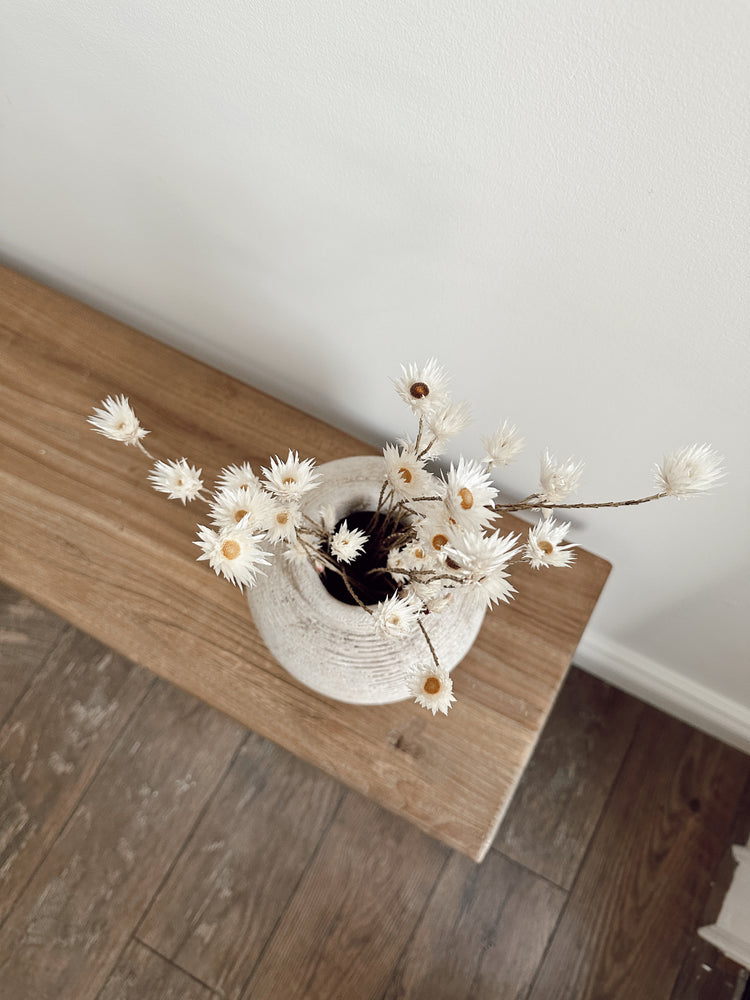 dried daisy flowers