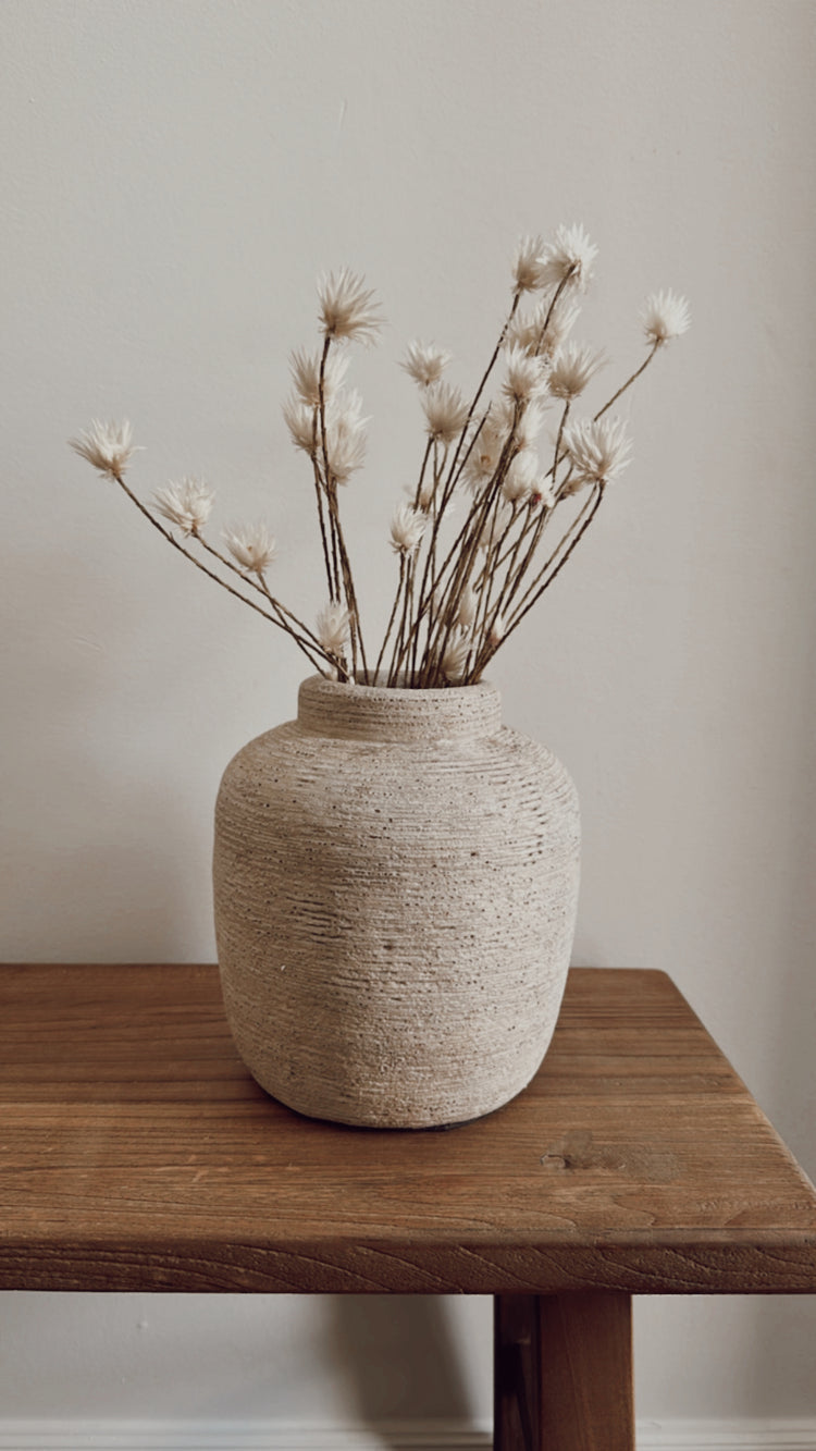dried daisy flowers