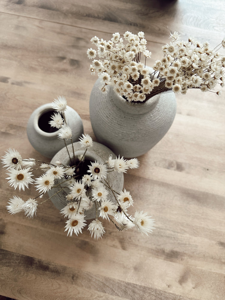 dried daisy flowers