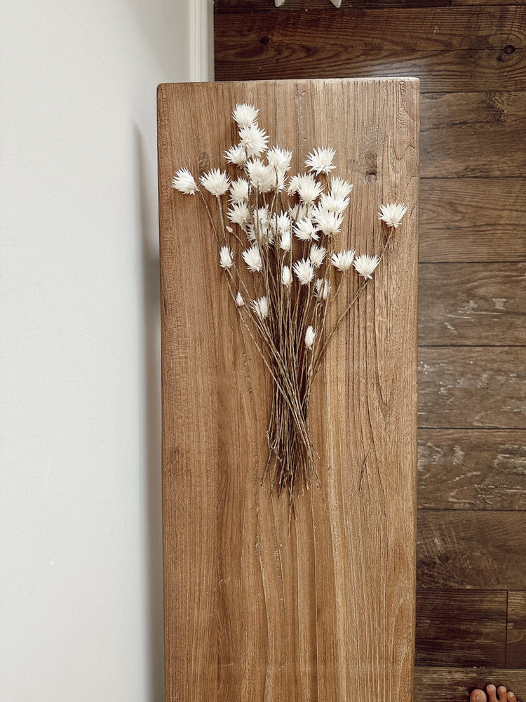 dried daisy flowers