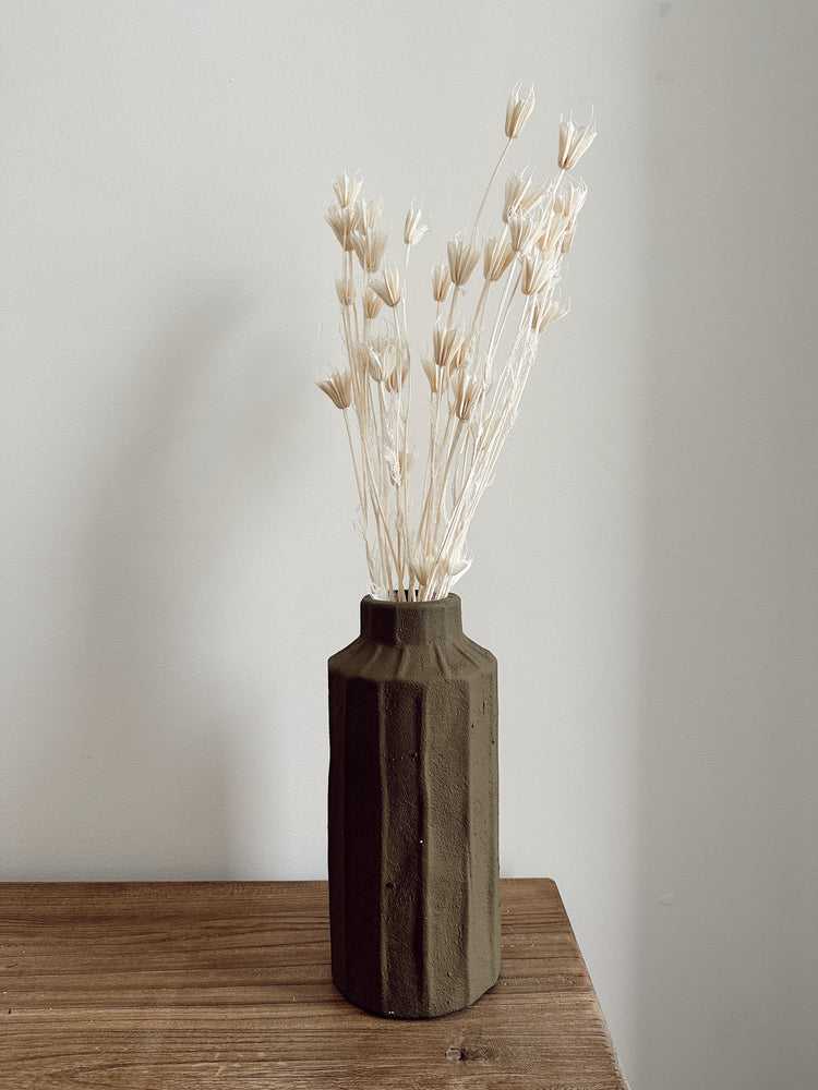 dried nigella orientalis flowers