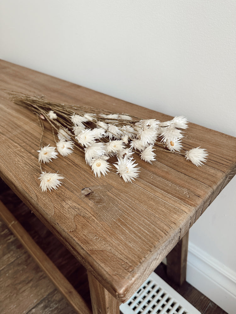 dried daisy flowers