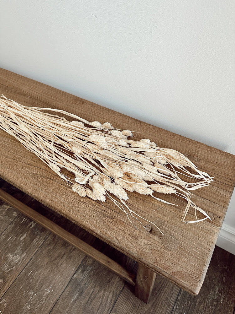 dried rabbit tails