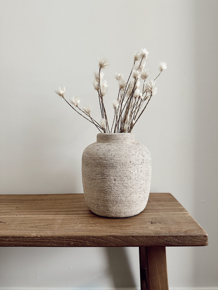 dried daisy flowers