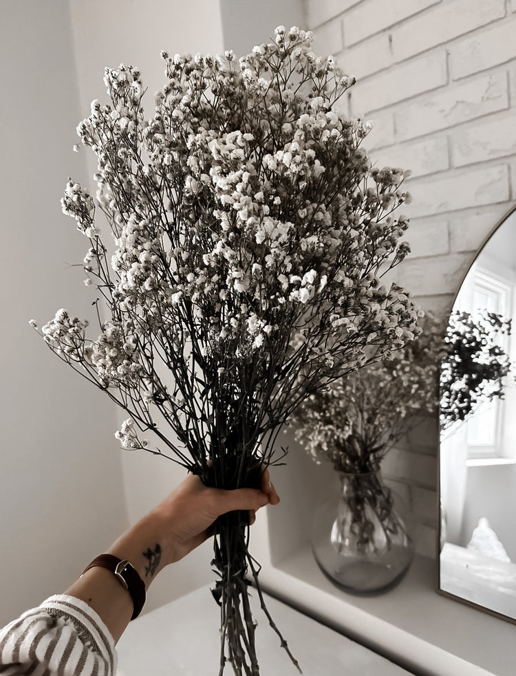 Dried Floral Bundle Baby’s Breath