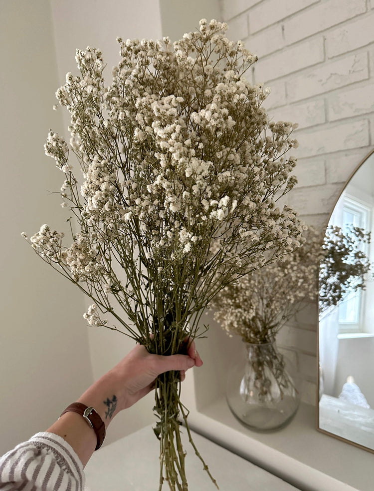 Dried Floral Bundle Baby’s Breath