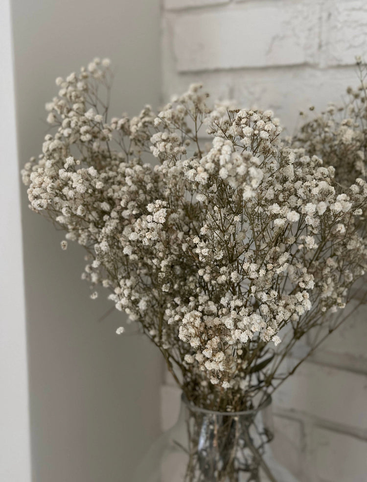 Dried Floral Bundle Baby’s Breath