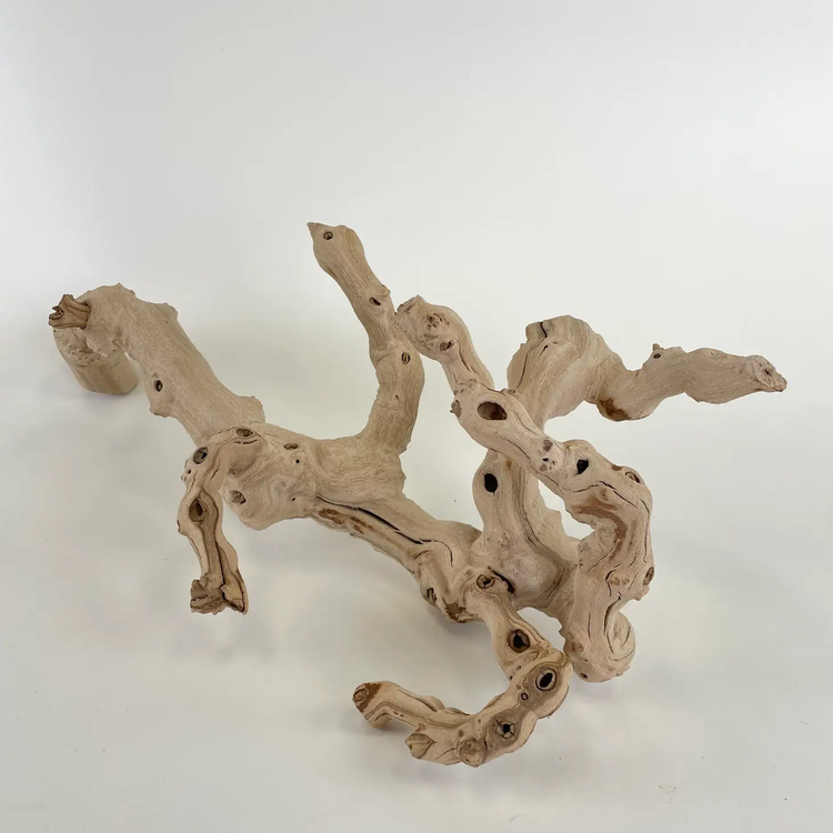 grapewood branch 18"