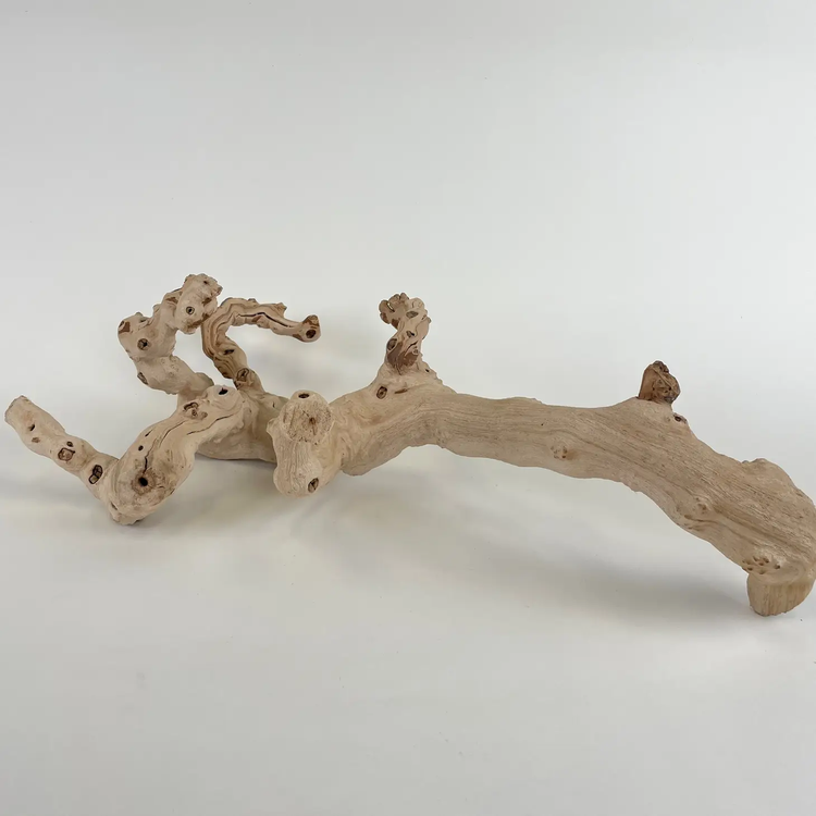 grapewood branch 18"