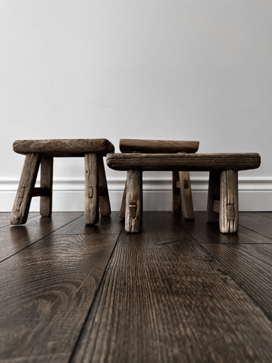 Elm Wood Baby Stool in Natural